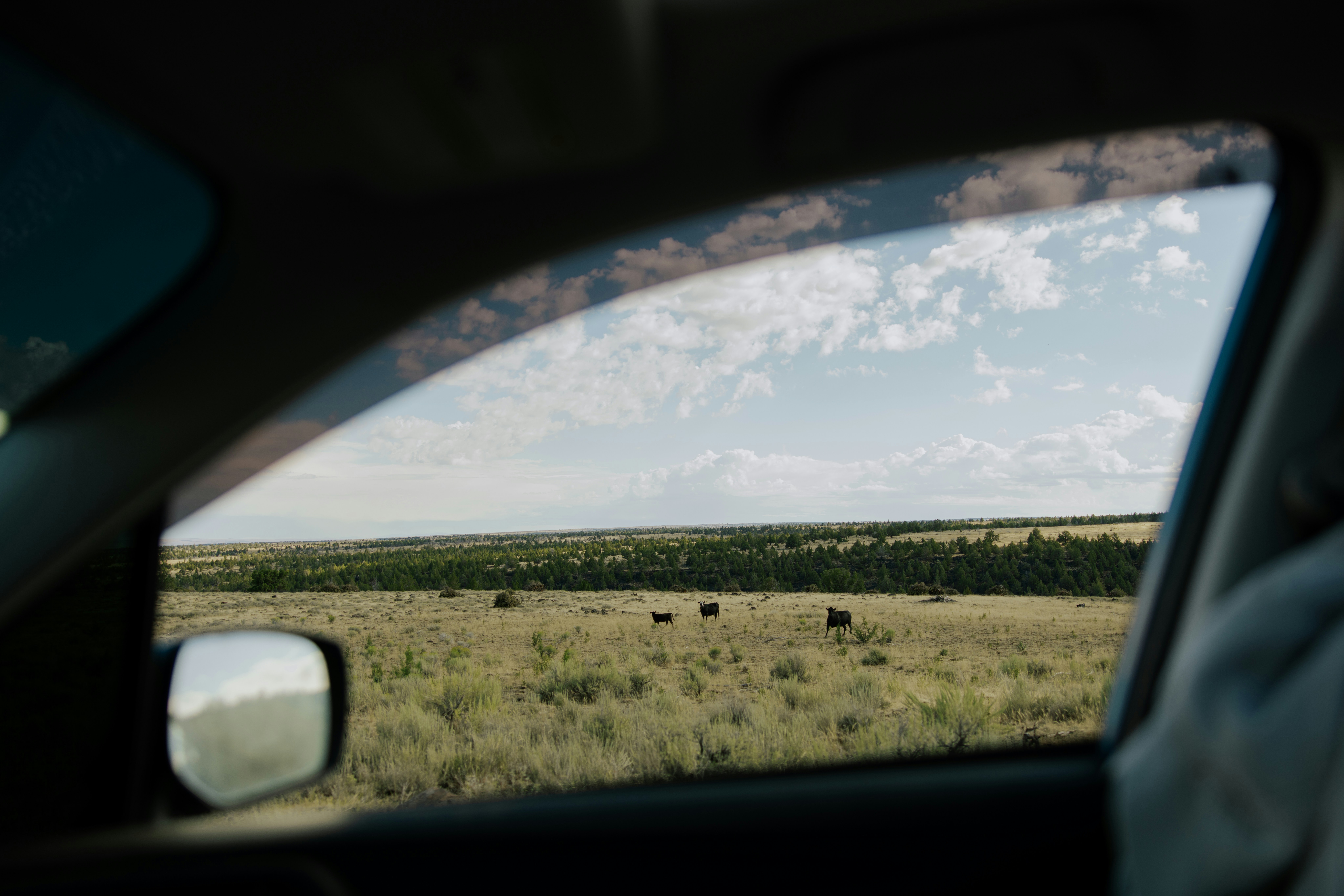 Test blog numero unoo